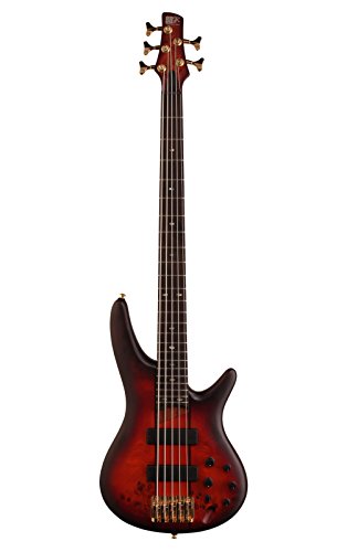 ibanez 5弦エレキベース SR-805AM　おまけケース付き ibanez 5弦エレキベース SR-805AM おまけケース付き - メルカリ